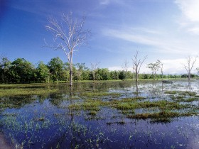 Tyto Wetlands - Attractions Perth
