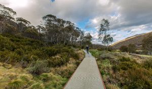 Thredbo Valley track - Attractions Perth