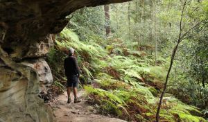 Dharug National Park - Attractions Perth