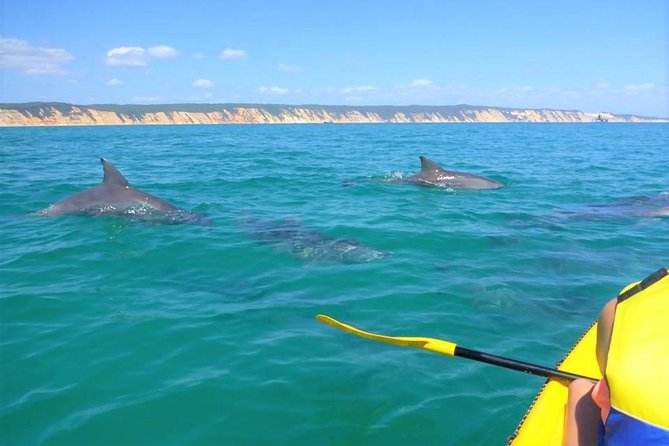 Half-Day Kayak With Dolphins And 4WD Beach Drive From Rainbow Beach - Attractions Perth