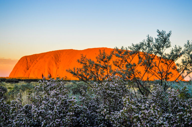 Uluru Sunrise And Kata Tjuta Half Day Trip - Attractions Perth