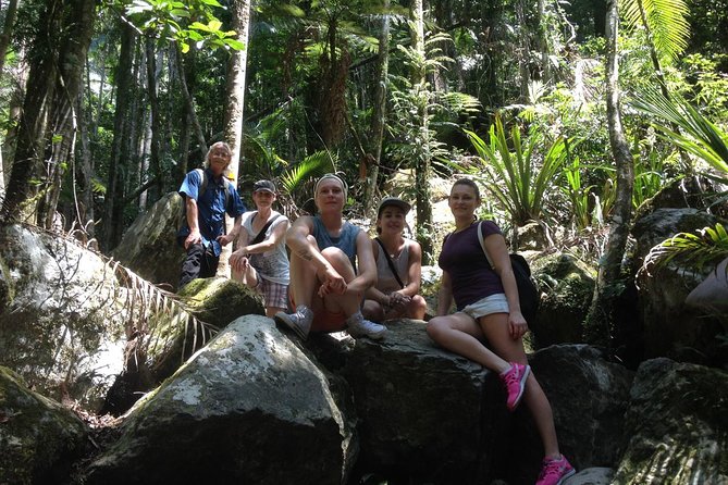 Byron Bay Hinterland Tour Including Rainforest Walk To Minyon Falls - Attractions Perth