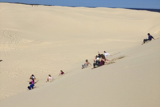 Port Stephens Bush, Beach And Sand Dune 4WD Passenger Tour - Attractions Perth