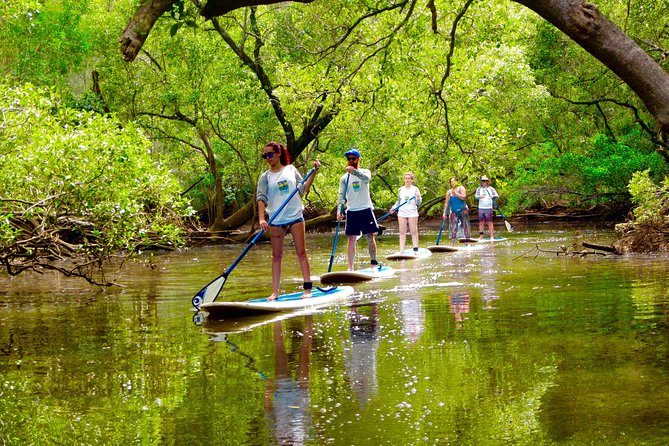 Byron Stand Up Paddle Nature Tour - Attractions Perth