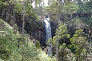 Bindaree Falls - Attractions Perth