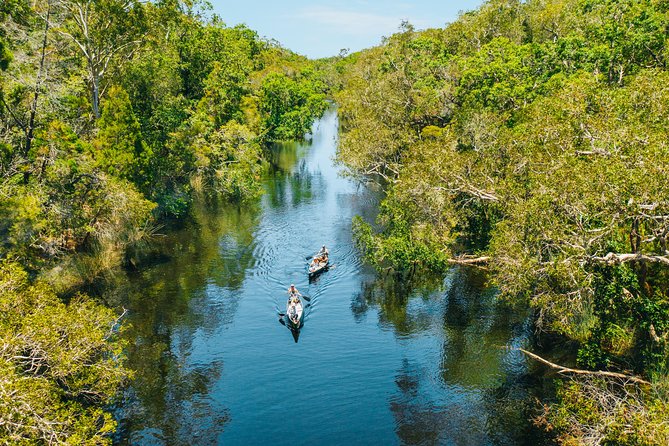 Cruise 'n' Canoe to Australia's Everglades - Attractions Perth